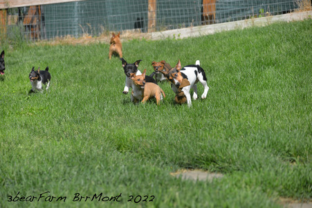 Enlarge photo 853