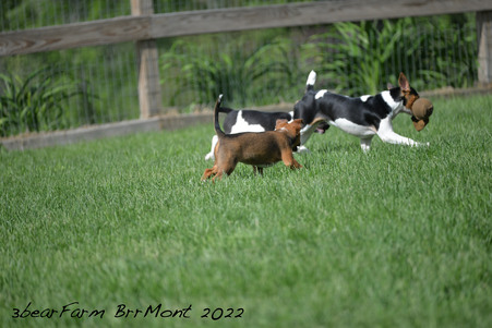 Enlarge photo 831