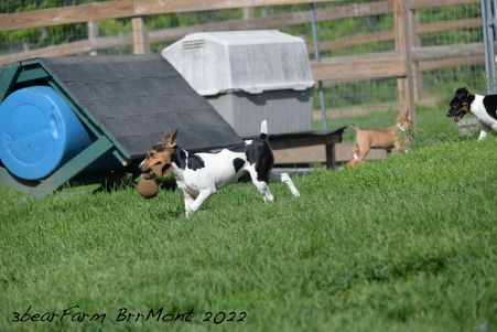 Enlarge photo 798