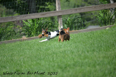 Enlarge photo 785