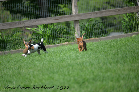 Enlarge photo 784