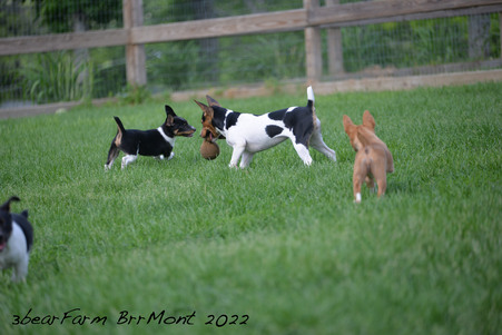 Enlarge photo 745