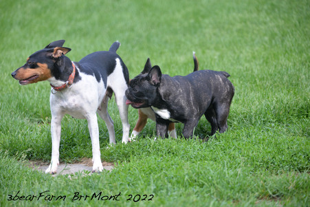 Enlarge photo 707