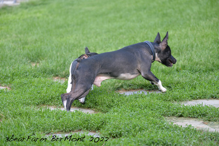 Enlarge photo 686
