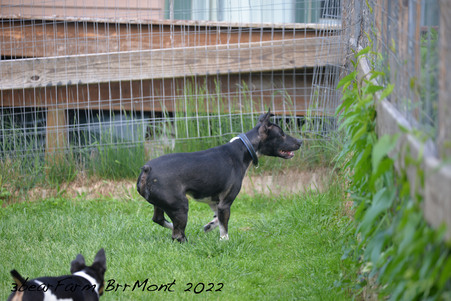 Enlarge photo 683