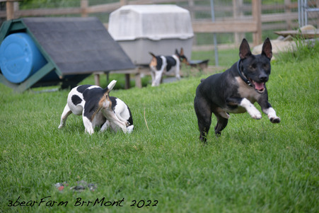 Enlarge photo 658