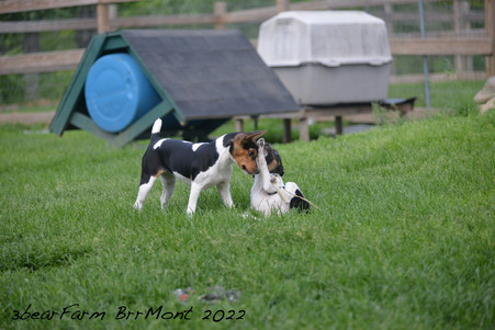 Enlarge photo 654