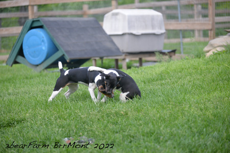 Enlarge photo 649