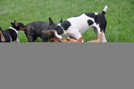 Enlarge photo 629