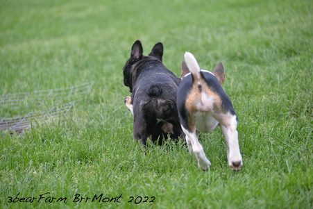 Enlarge photo 599