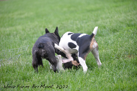 Enlarge photo 597