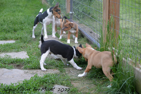 Enlarge photo 520