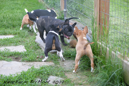 Enlarge photo 514