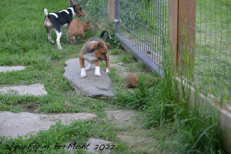 Enlarge photo 507