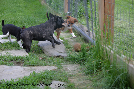 Enlarge photo 493