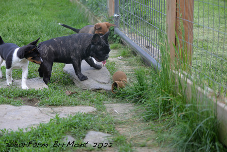 Enlarge photo 489
