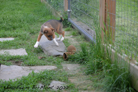 Enlarge photo 484
