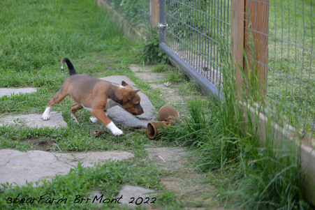 Enlarge photo 483