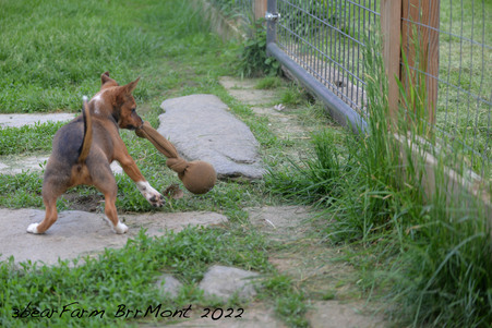 Enlarge photo 479
