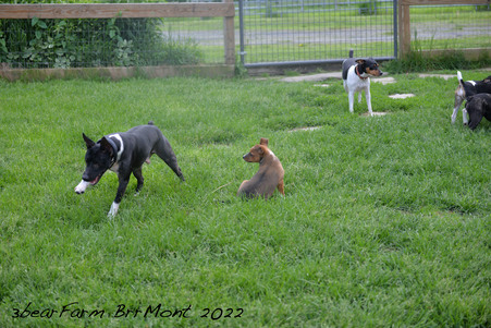 Enlarge photo 469