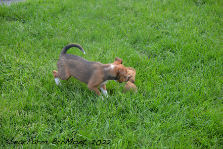 Enlarge photo 402