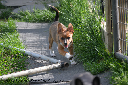 Enlarge photo 363