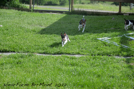 Enlarge photo 305