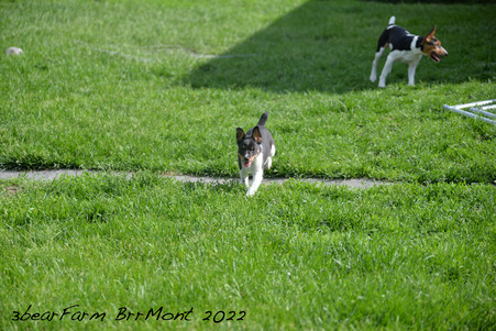 Enlarge photo 304