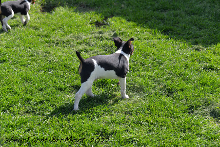 Enlarge photo 291
