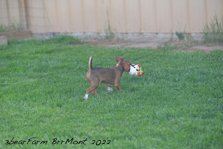 Enlarge photo 287