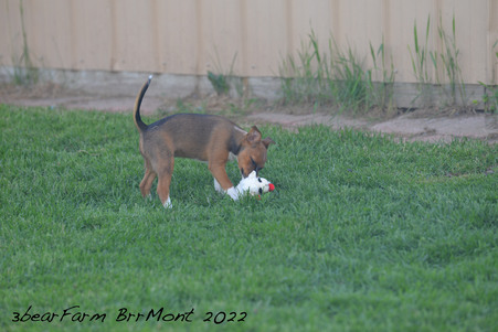 Enlarge photo 284