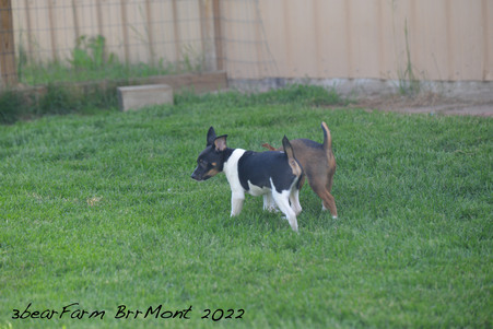 Enlarge photo 241