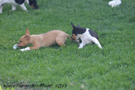 Enlarge photo 236