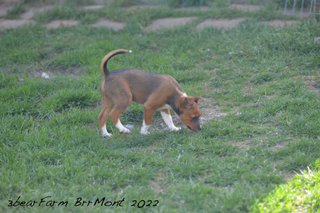 Enlarge photo 225