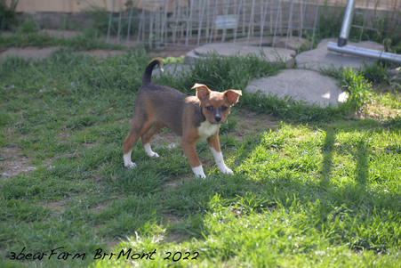 Enlarge photo 218