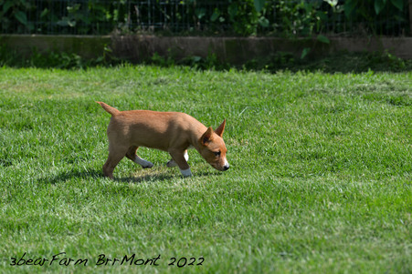 Enlarge photo 204