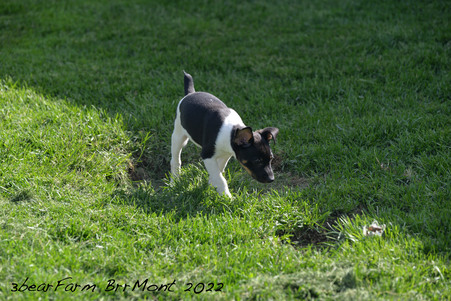 Enlarge photo 170