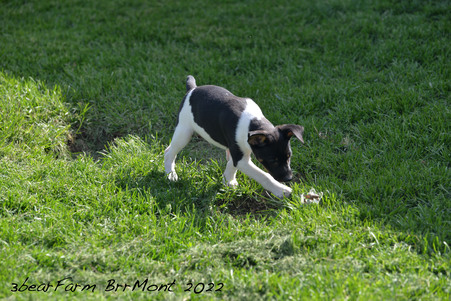 Enlarge photo 169
