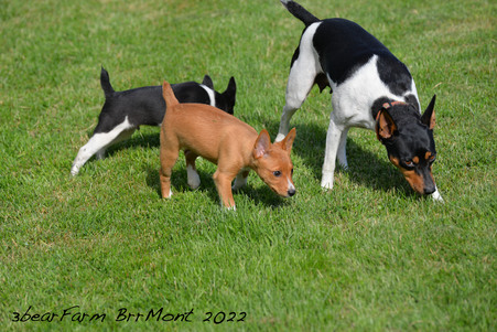 Enlarge photo 159