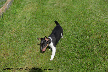 Enlarge photo 148