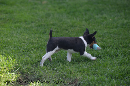 Enlarge photo 115