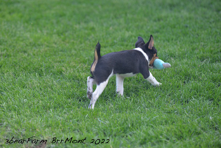 Enlarge photo 114