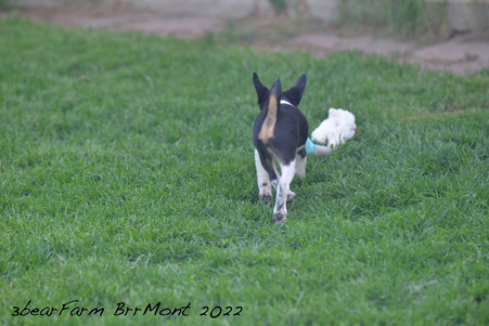 Enlarge photo 111
