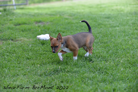 Enlarge photo 87