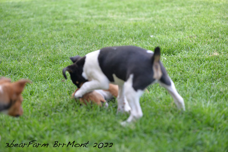 Enlarge photo 62