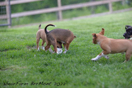 Enlarge photo 32