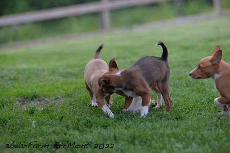 Enlarge photo 28