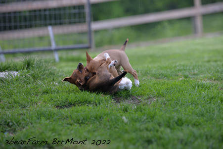 Enlarge photo 20
