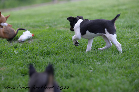 Enlarge photo 17