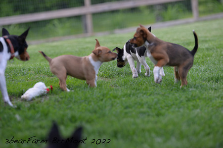Enlarge photo 13